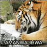 amanwadhwa